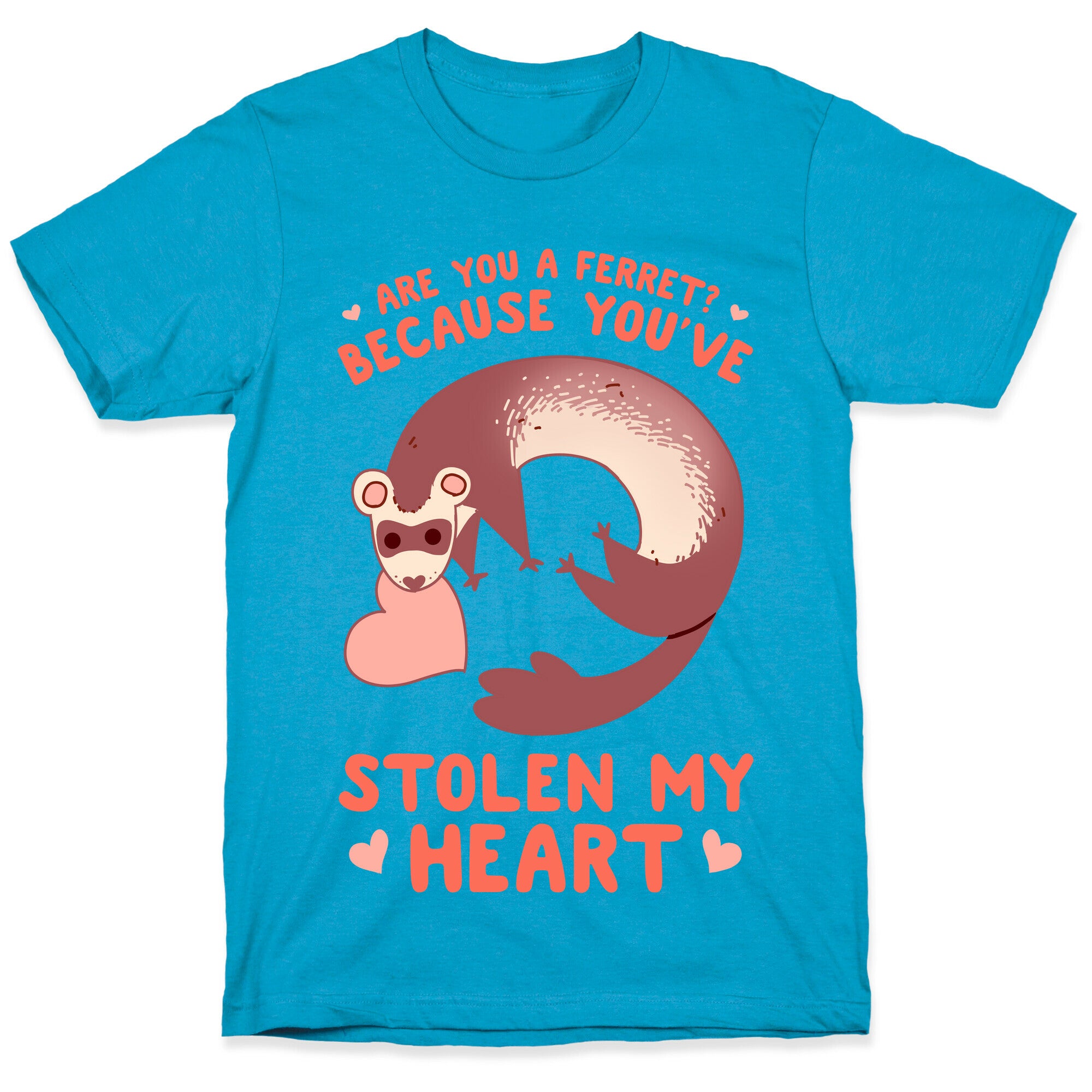 Are You A Ferret? Because You've Stolen My Heart Unisex Triblend Tee